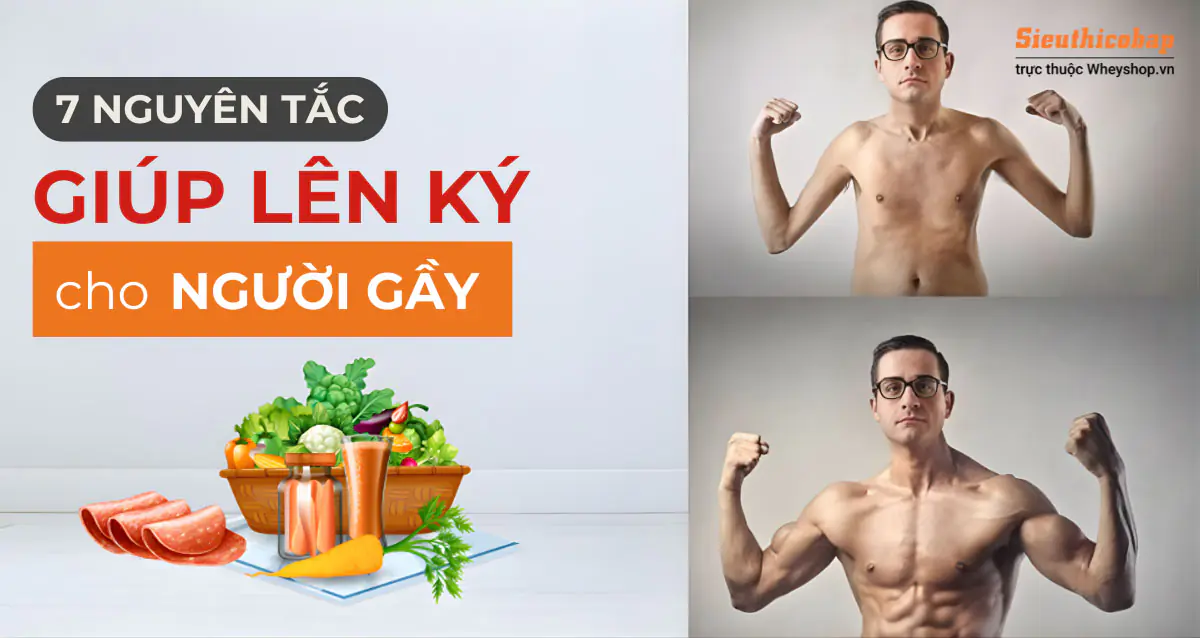 Thực Đơn Tăng Cơ Chuẩn Cho Nam Gầy: 7 Ngày Ăn Đúng – Tăng Cơ Nhanh