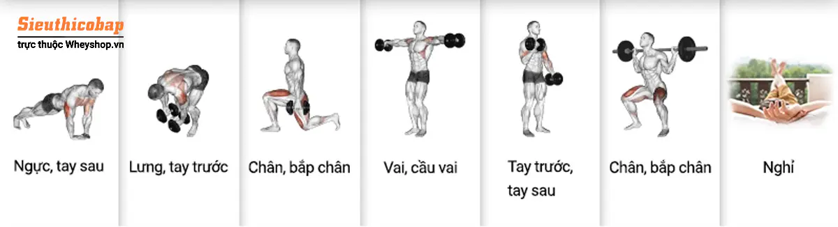 Lịch Tập Tăng Cơ Chuẩn Khoa Học Cho Người Gầy 15 46