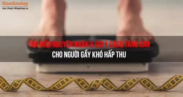 Tìm Hiểu Nguyên Nhân & Gợi Ý Cách Tăng Cân Cho Người Gầy Khó Hấp Thu