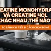 Creatine monohydrate và creatine HCL khác nhau thế nào - ảnh bìa