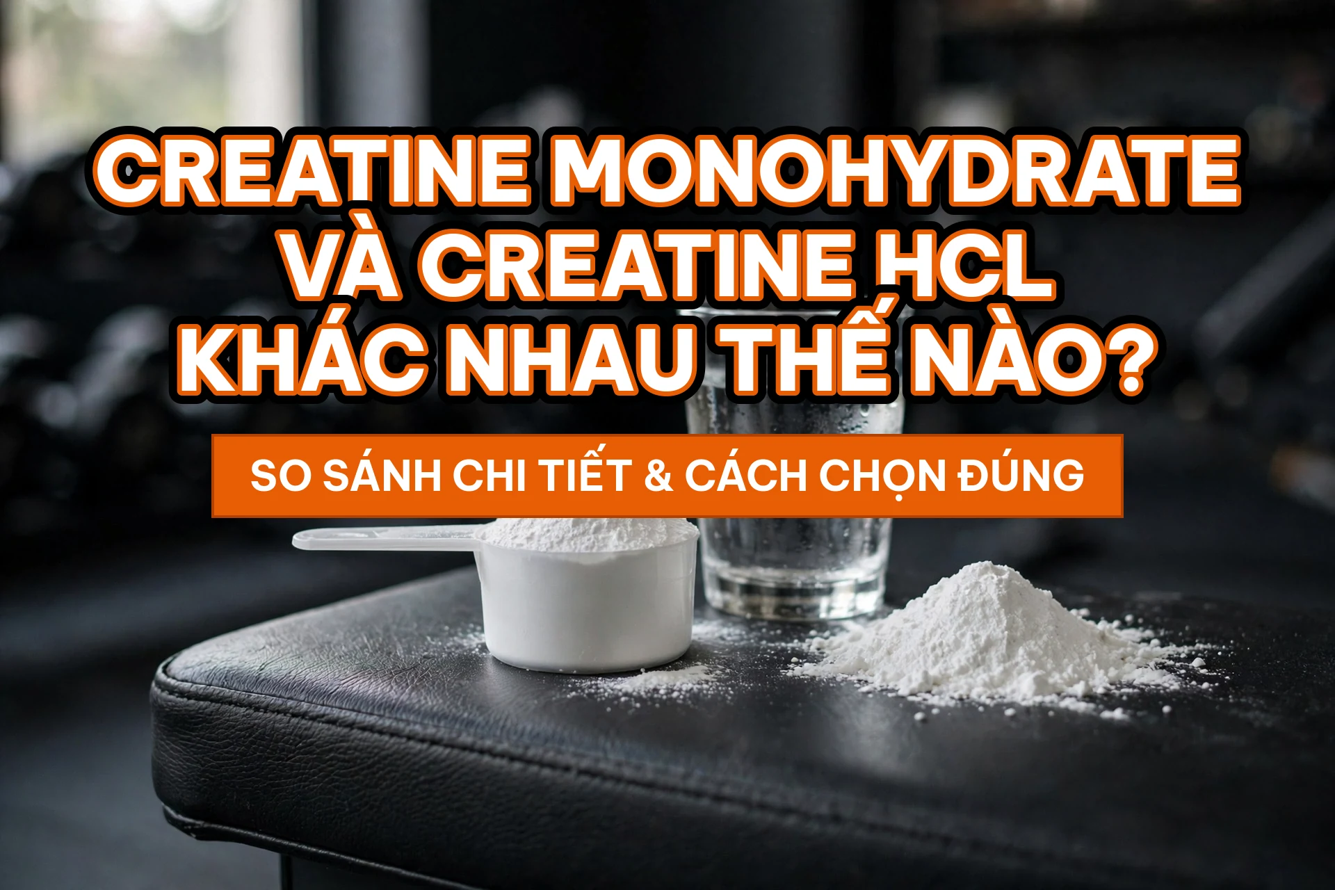 Creatine monohydrate và creatine HCL khác nhau thế nào - ảnh bìa