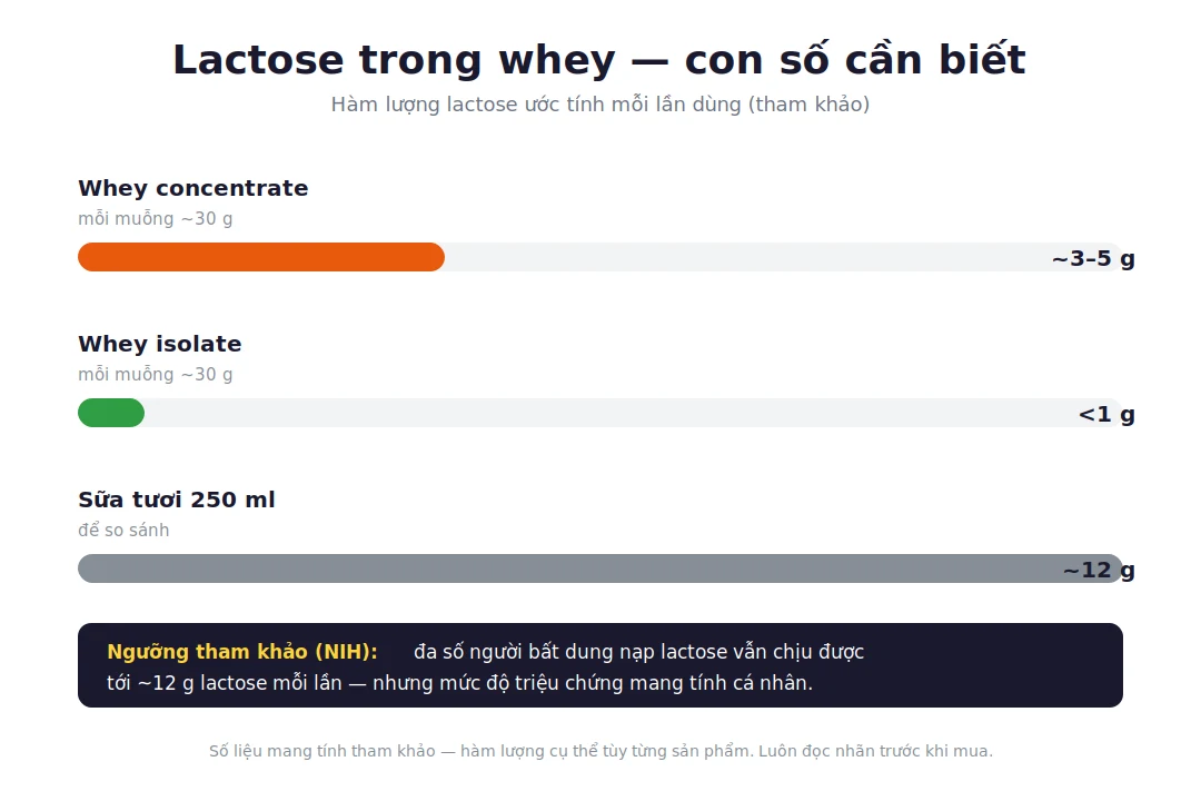 Uống Whey Bị Tiêu Chảy Phải Làm Sao? Nguyên Nhân & Cách Xử Lý 15 So sánh hàm lượng lactose trong whey concentrate, whey isolate và sữa tươi