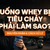 Uống whey bị tiêu chảy phải làm sao - nguyên nhân và cách xử lý